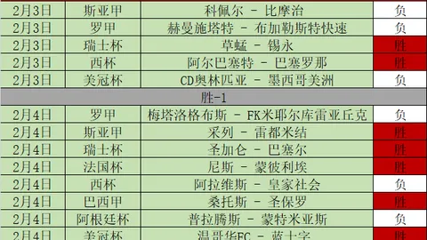 莱斯特城1-0切尔西足总杯对决，蒂勒曼斯一击制胜